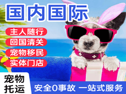 静巴航空快递国际宠物托运 【国